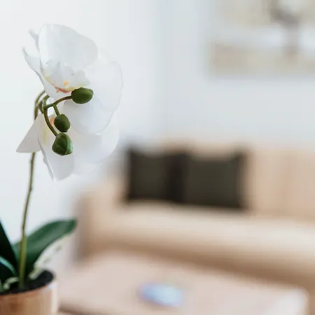 Palace - Happy Appartement