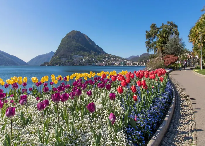 Palace - Happy * Lugano