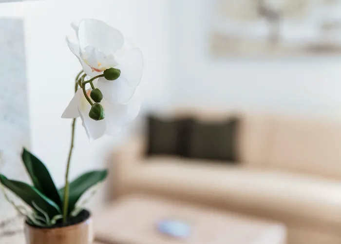 Palace - Happy Appartement